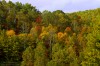 Autumn 02