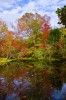 Autumn 04
