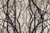Entanglement