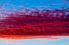 Sunset 6