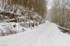 Winter Snow
